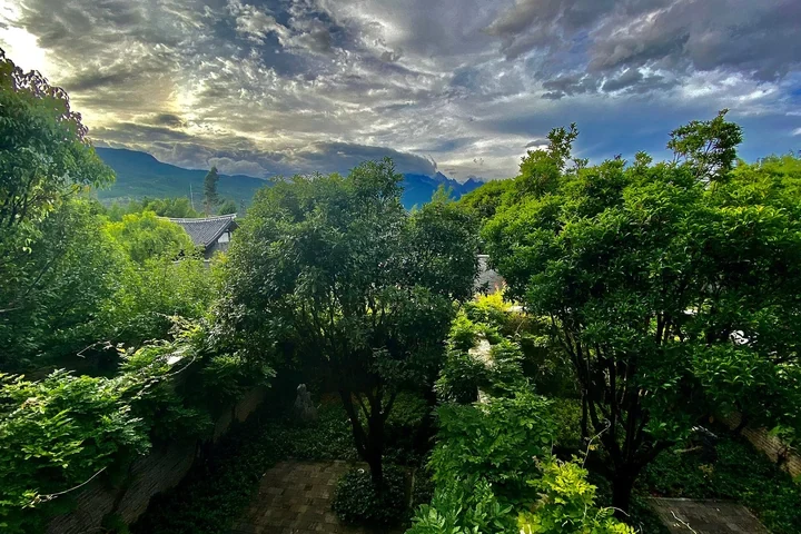 4-Day Jingmai Family Tea Journey — itinerary scenery