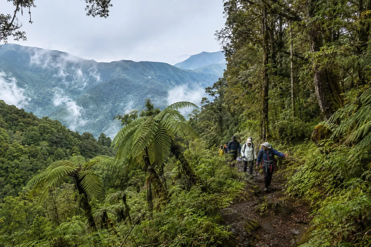 Gaoligong mountain nature near Tengchong