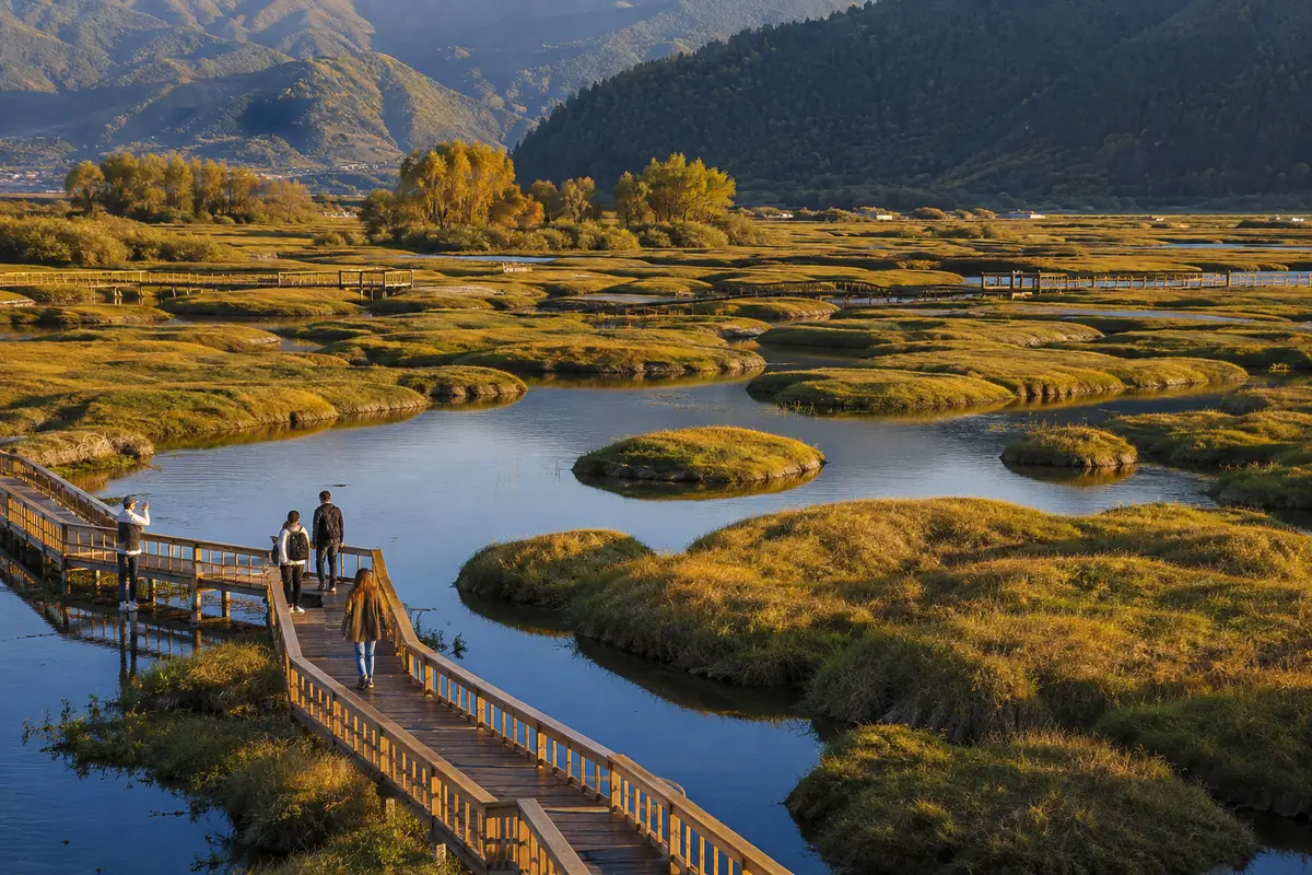 Beihai Wetland landscape