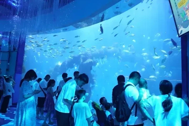 Qingdao Underwater World Family Visit — itinerary scenery