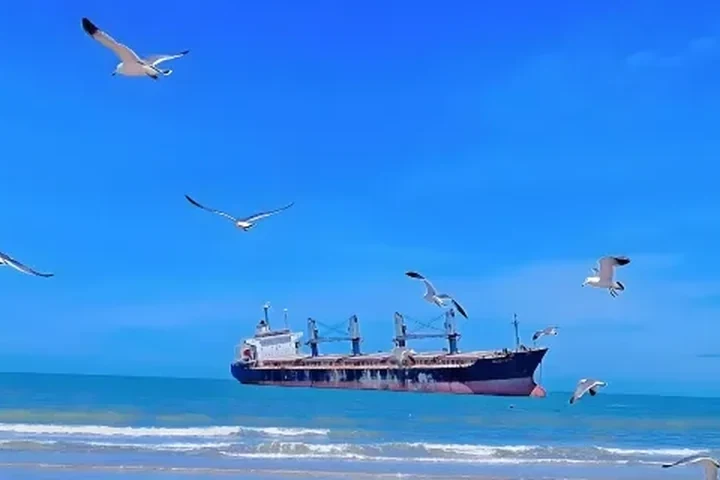 Weihai Coastal Landmarks — itinerary scenery