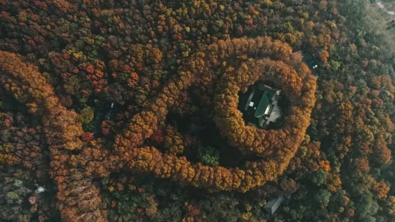 Purple Mountain Mausoleums and Meiling Palace — itinerary scenery