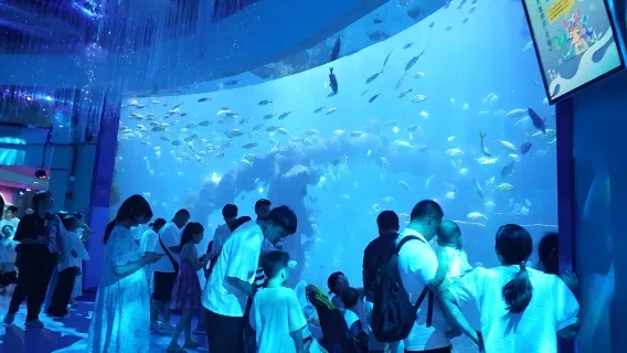 Qingdao Underwater World Family Visit — itinerary scenery