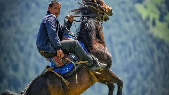 Urumqi Museum, Bazaar and Horse Culture — itinerary scenery