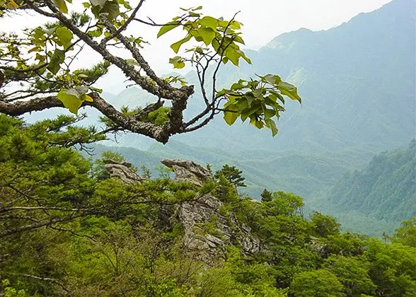 Archived Beijing context used for Baiwangshan Forest Park planning