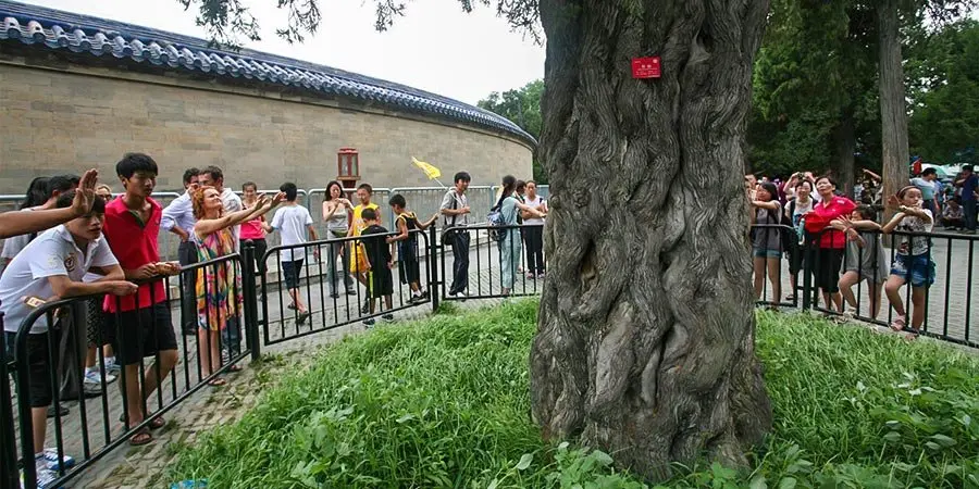 Archived Beijing context used for Temple of Heaven visit questions planning