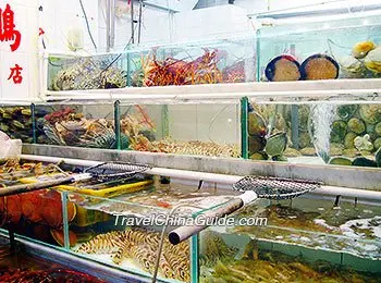 Archived seafood display in Sai Kung