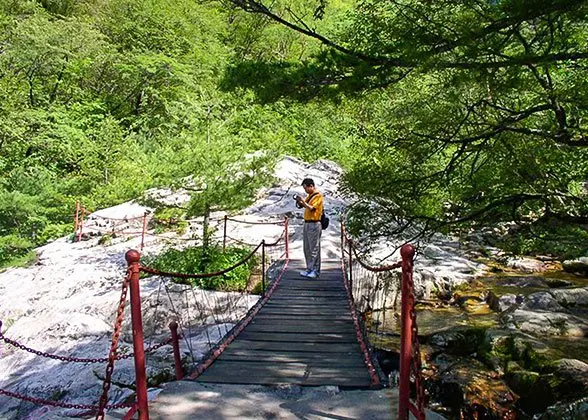 Zhuque National Forest Park landscape, activity or visitor-planning context