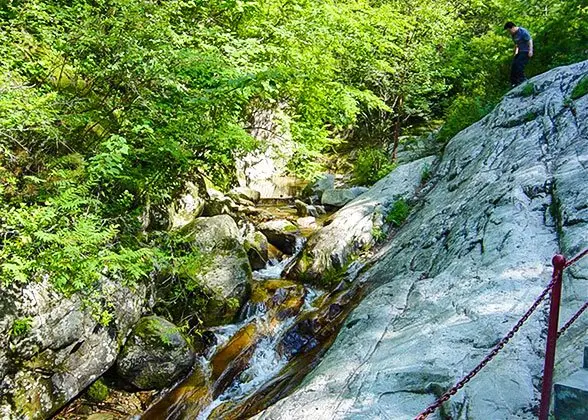 Heihe National Forest Park landscape, activity or visitor-planning context