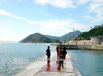 Archived Hong Kong waterfront used only as wetland background