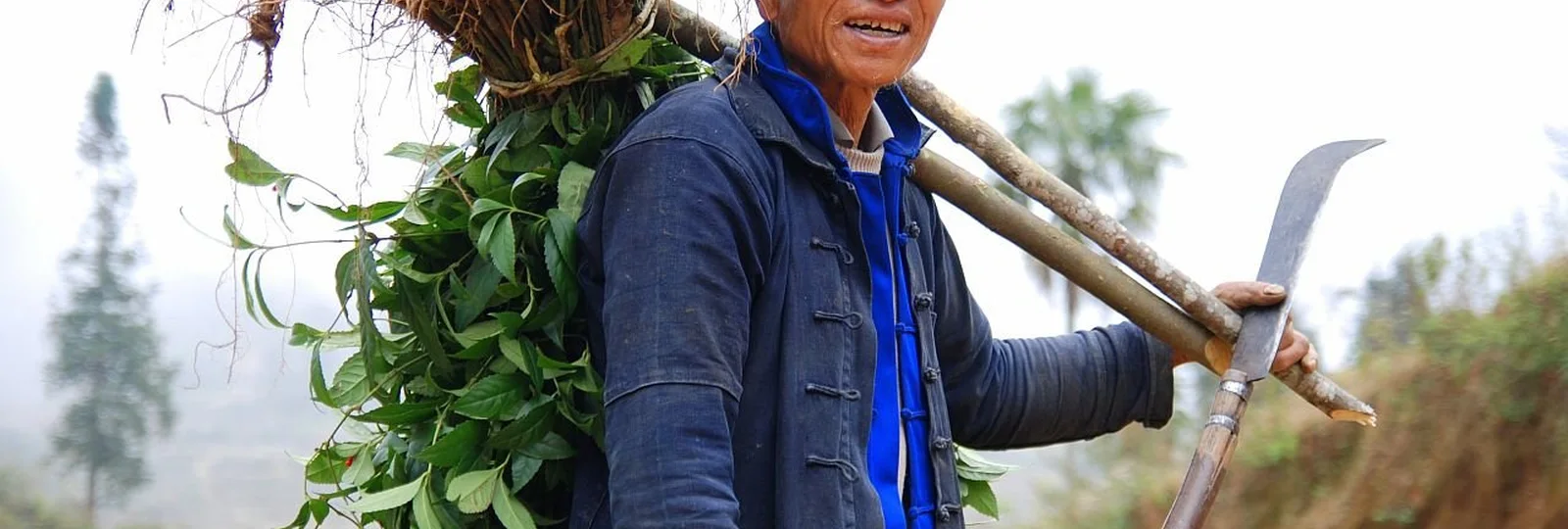5-Day Jianshui & Yuanyang Heritage Tour in Yuanyang