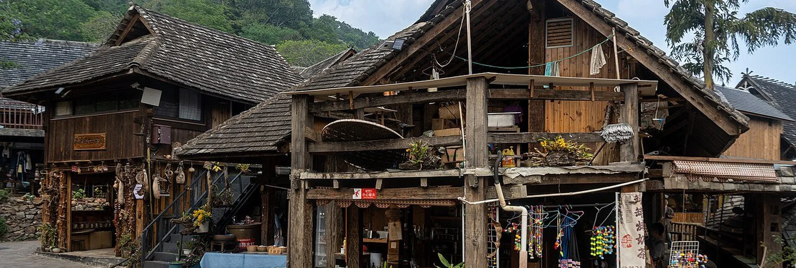 3-Day Classic Jingmai Mountain Tour tour