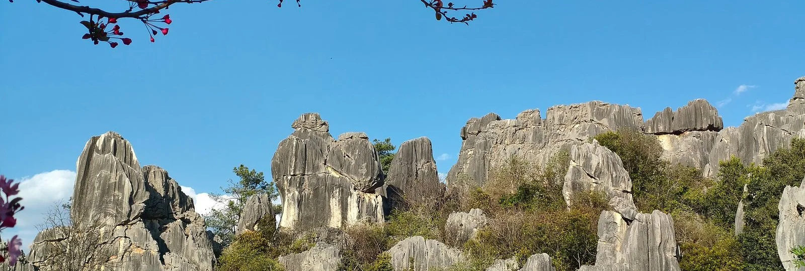 4-Day Kunming Family Discovery in Yunnan