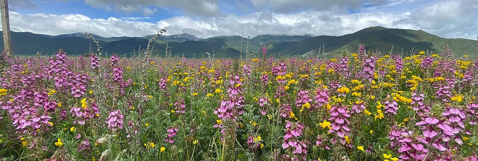 6-Day Meili Snow Mountain Photography Tour in Meili Snow Mountain