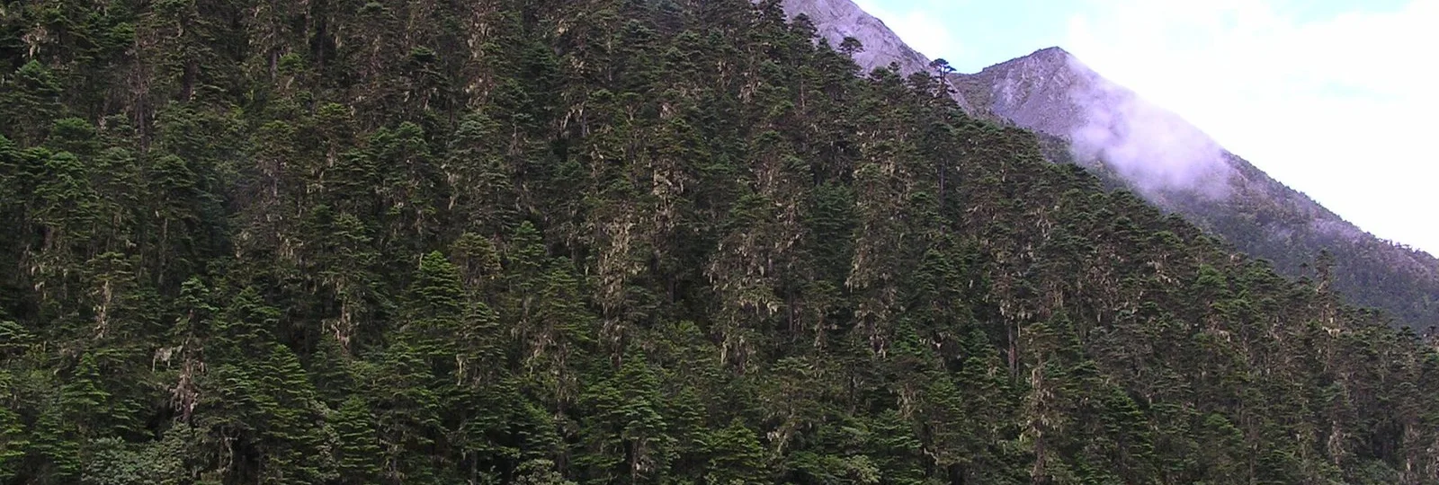 5-Day Shangri-La & Balagezong Tour in Yunnan