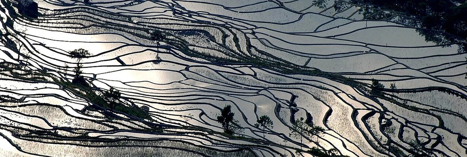 5-Day Yuanyang Family Culture Journey in Yuanyang