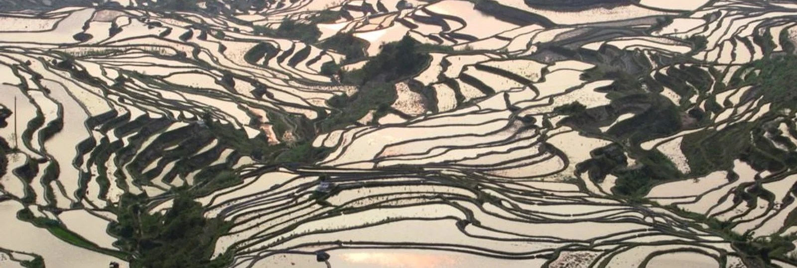 2-Day Yuanyang Rice Terrace Photo Escape tour