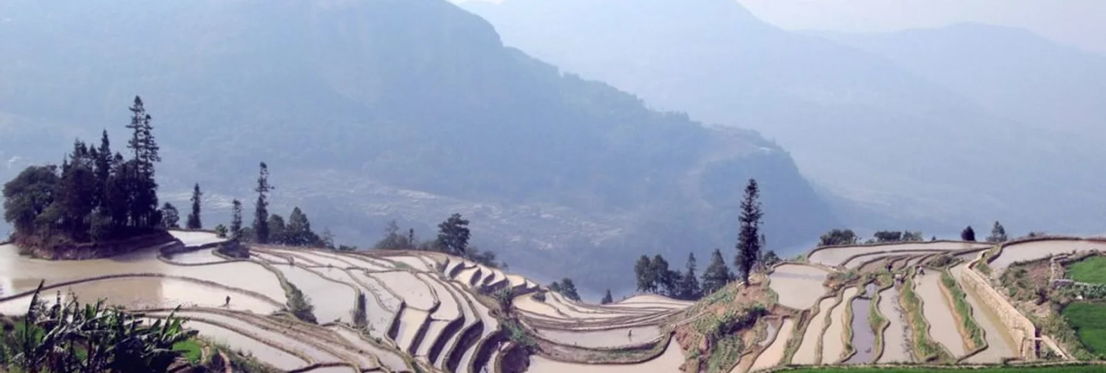 4-Day Yuanyang Photography Tour in Yuanyang