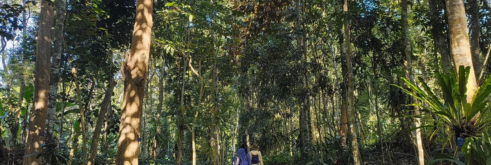 Xishuangbanna tours in Yunnan