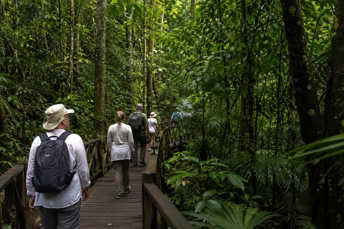 Wild Elephant Valley rainforest