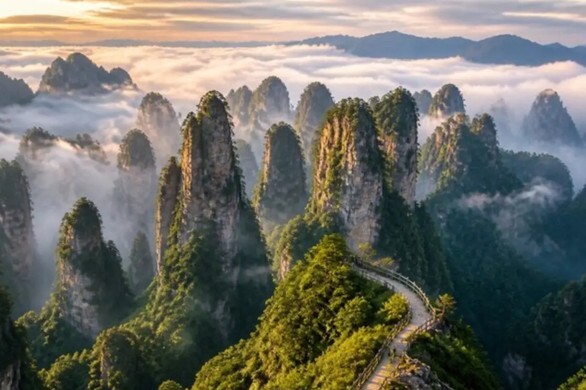 Sandstone pillars in Yuanjiajie Scenic Area