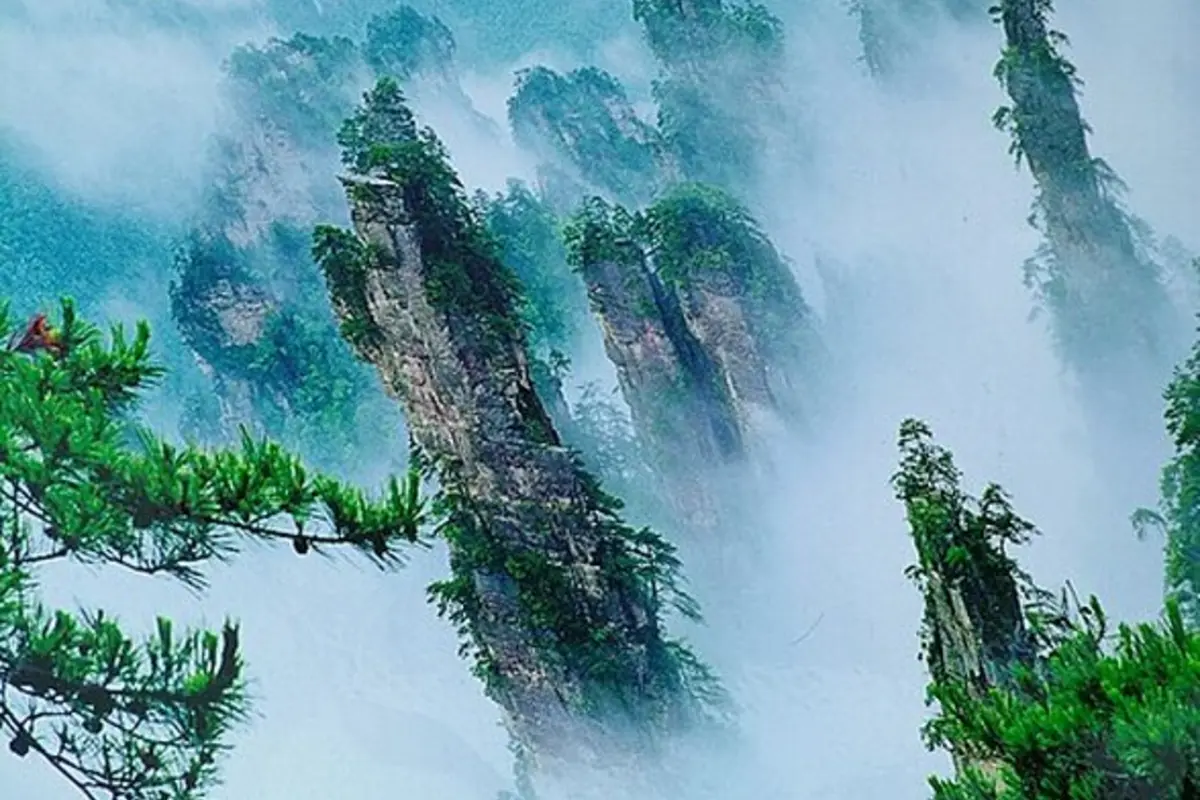 Peak forest scenery in Yangjiajie Scenic Area