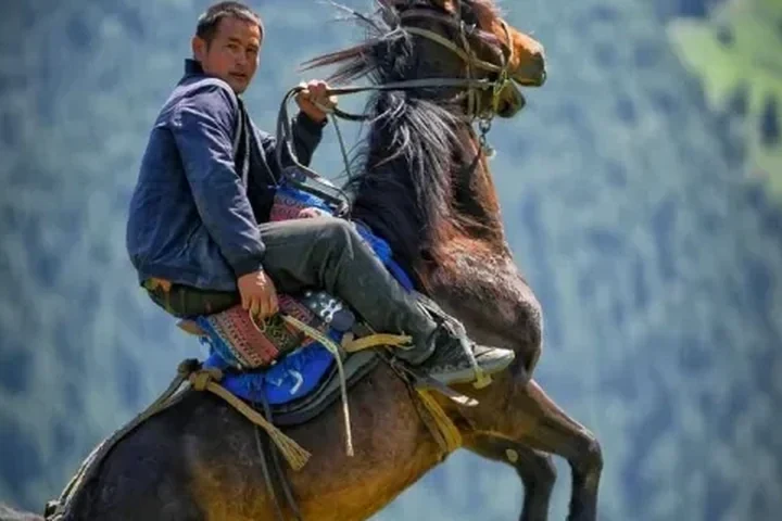 Urumqi Museum, Bazaar and Horse Culture — itinerary scenery