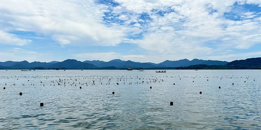 West Lake Cruise and Leifeng Pagoda — itinerary scenery