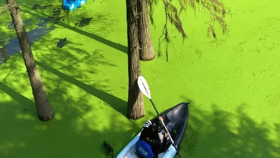 West Lake and Qingshan Water Forest — itinerary scenery