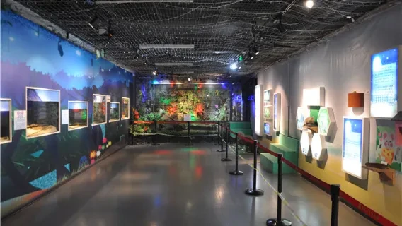 Heilongjiang Provincial Museum Visit — itinerary scenery