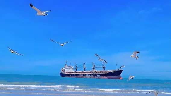 Weihai Coastal Landmarks — itinerary scenery