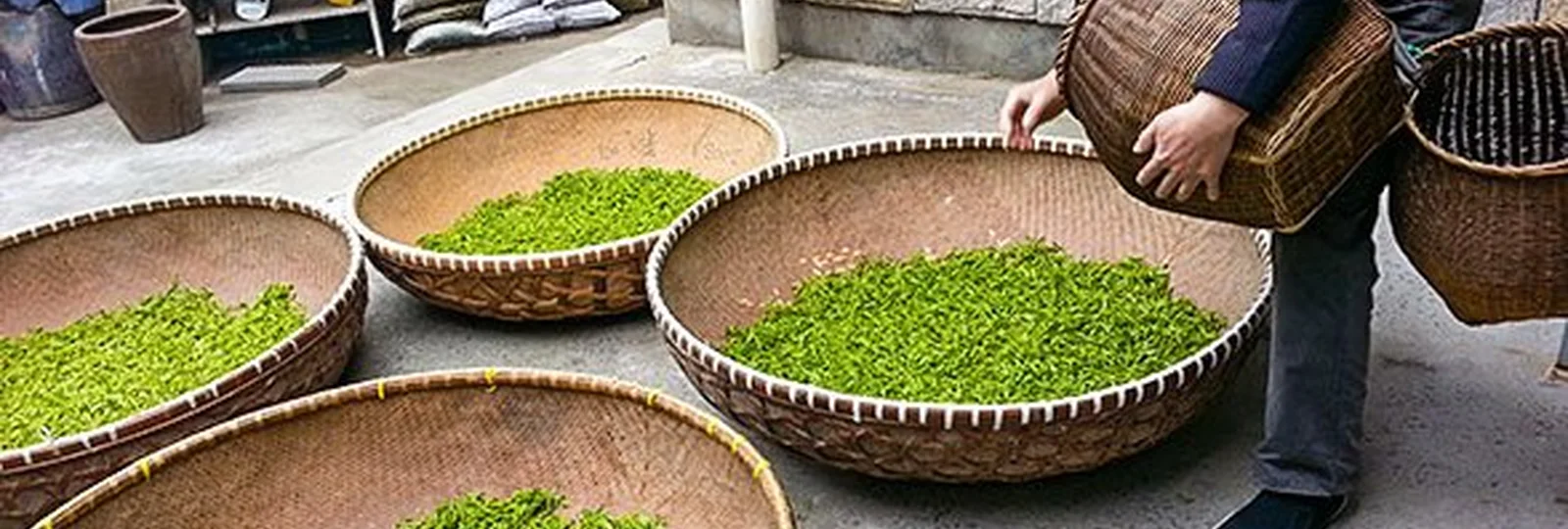 5-Day Private Tour of Hangzhou & Huangshan