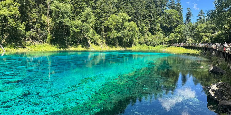 Clear lake water and forest in Jiuzhaigou