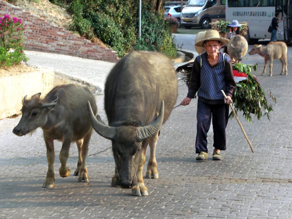 Arrival in Kunming during the 7-Day South Yunnan Culture & Terraces Tour itinerary
