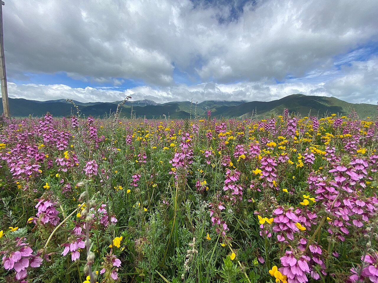Benzilan to Deqin during the 6-Day Meili Snow Mountain Photography Tour itinerary