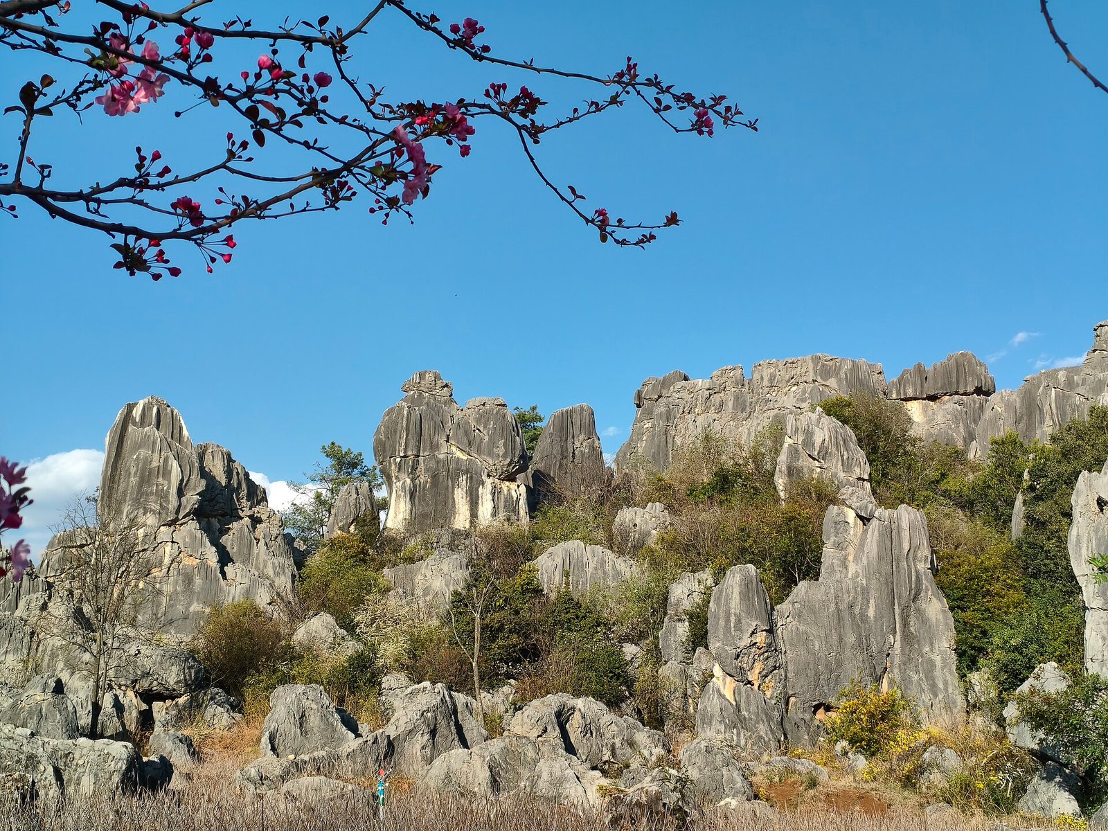 Kunming Food & Market Trail during the 3-Day Kunming Food & Culture Tour itinerary