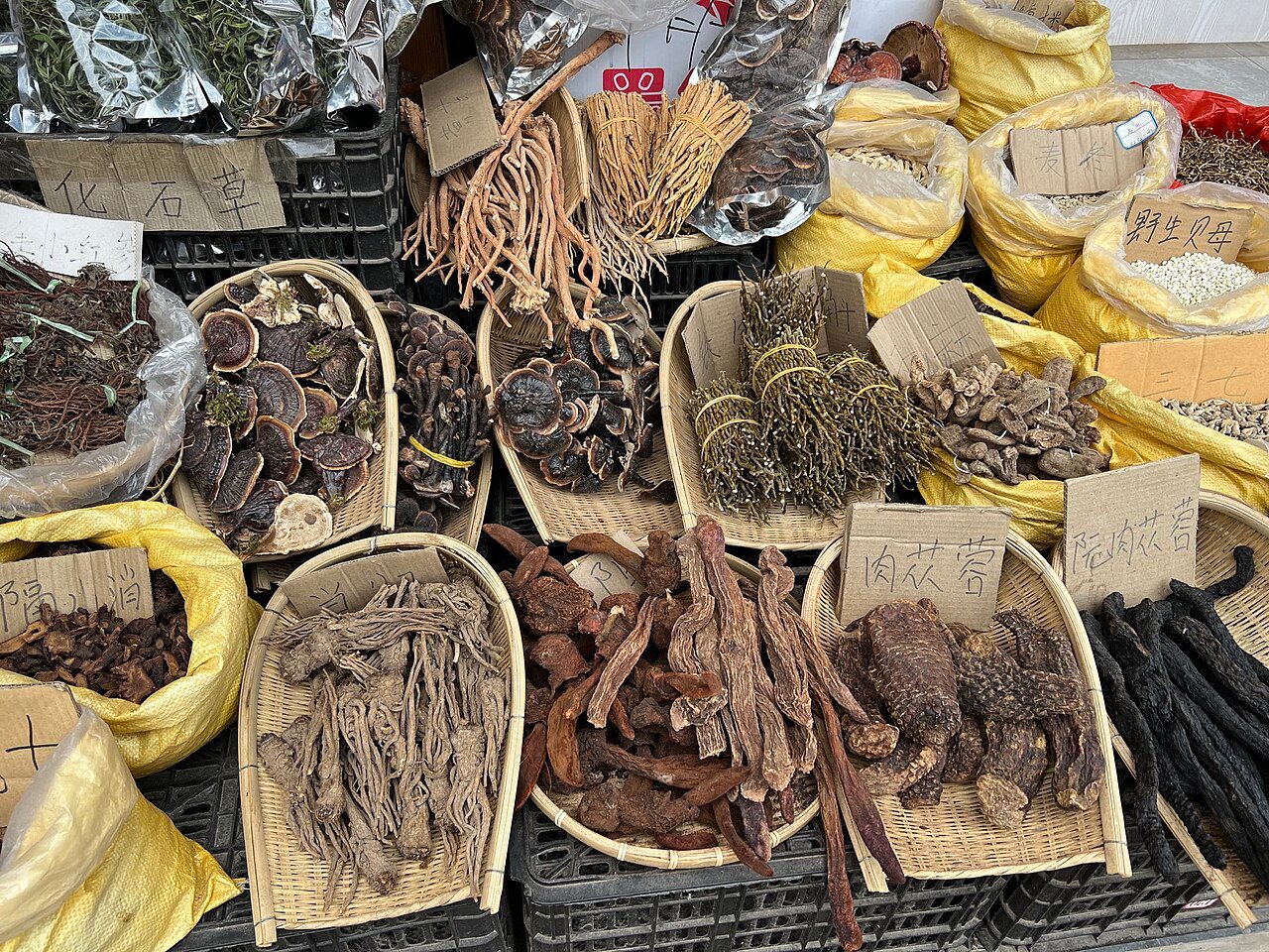 Lijiang to Shaxi during the 6-Day Lijiang, Shaxi & Dali Tour itinerary