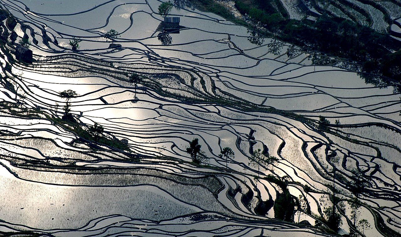 Azheke Hani Village during the 5-Day Yuanyang Family Culture Journey itinerary