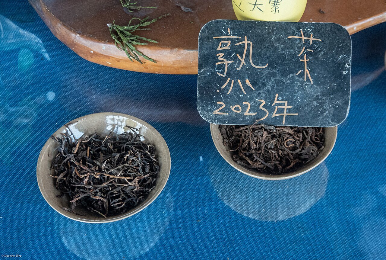 Tropical Botanical Garden during the 6-Day Jingmai Tea Forest & Tropical Garden itinerary