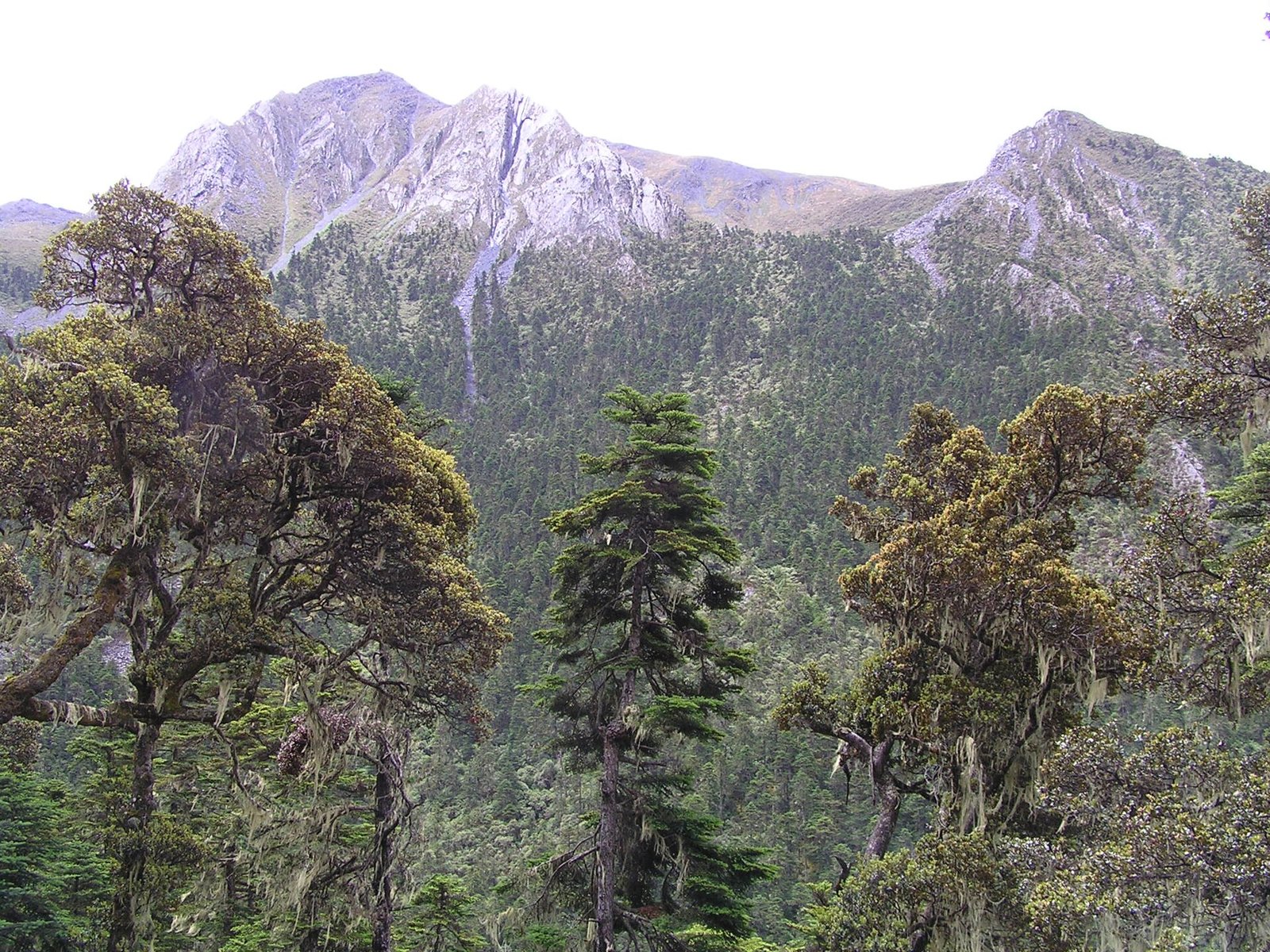  during the 9-Day Shangri-La, Meili & Lijiang Tour itinerary