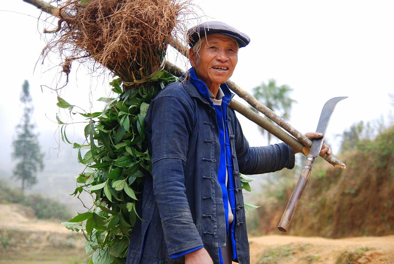 Village Market & Rural Life during the 5-Day Yuanyang Family Culture Journey itinerary