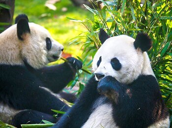 China Travel Pictures: Plan Destinations Through Photography