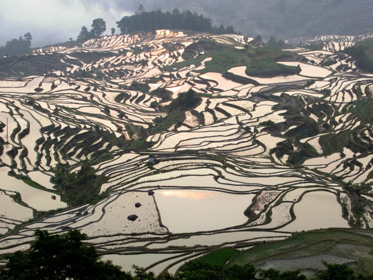 Village Market & Rural Life during the 6-Day Slow Yuanyang Photography Journey itinerary