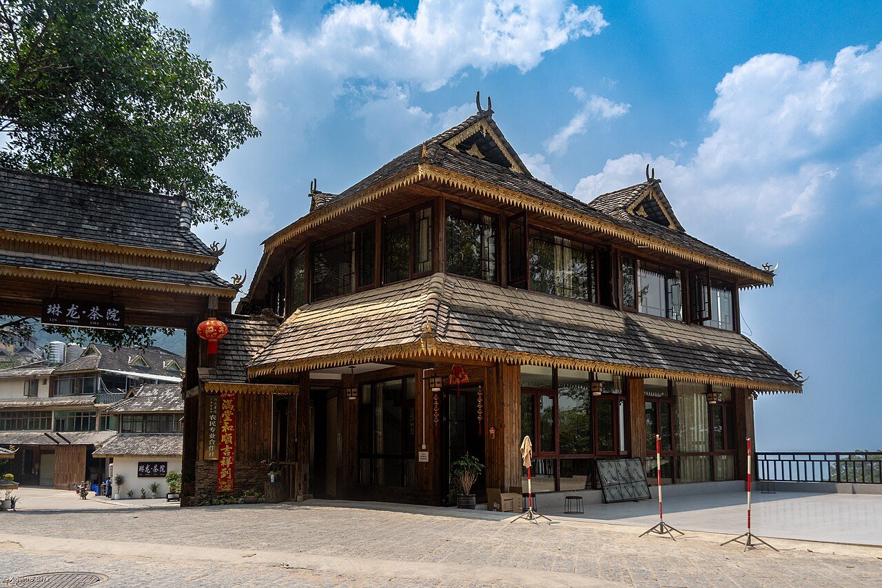 Old Tea Forest Walk during the 5-Day Pu’er & Jingmai Tea Culture Tour itinerary